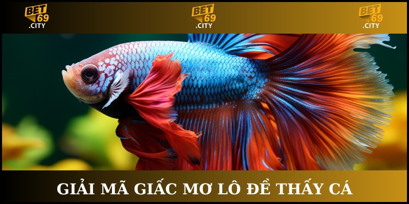 giải mã giấc mơ lô đề thấy cá