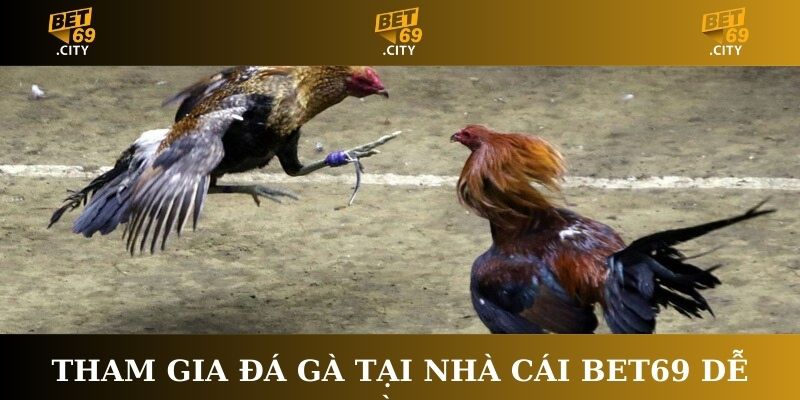Tham gia Đá gà tại nhà cái Bet69 dễ dàng
